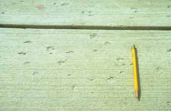 Mortar flaking
